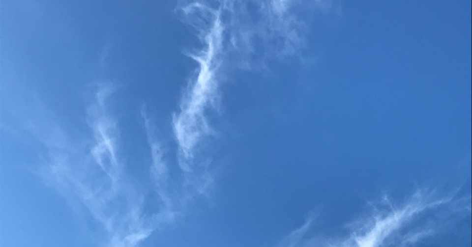 日常からのメッセージ ベルガモット精油からのメッセージ アロマセラピストsea Note