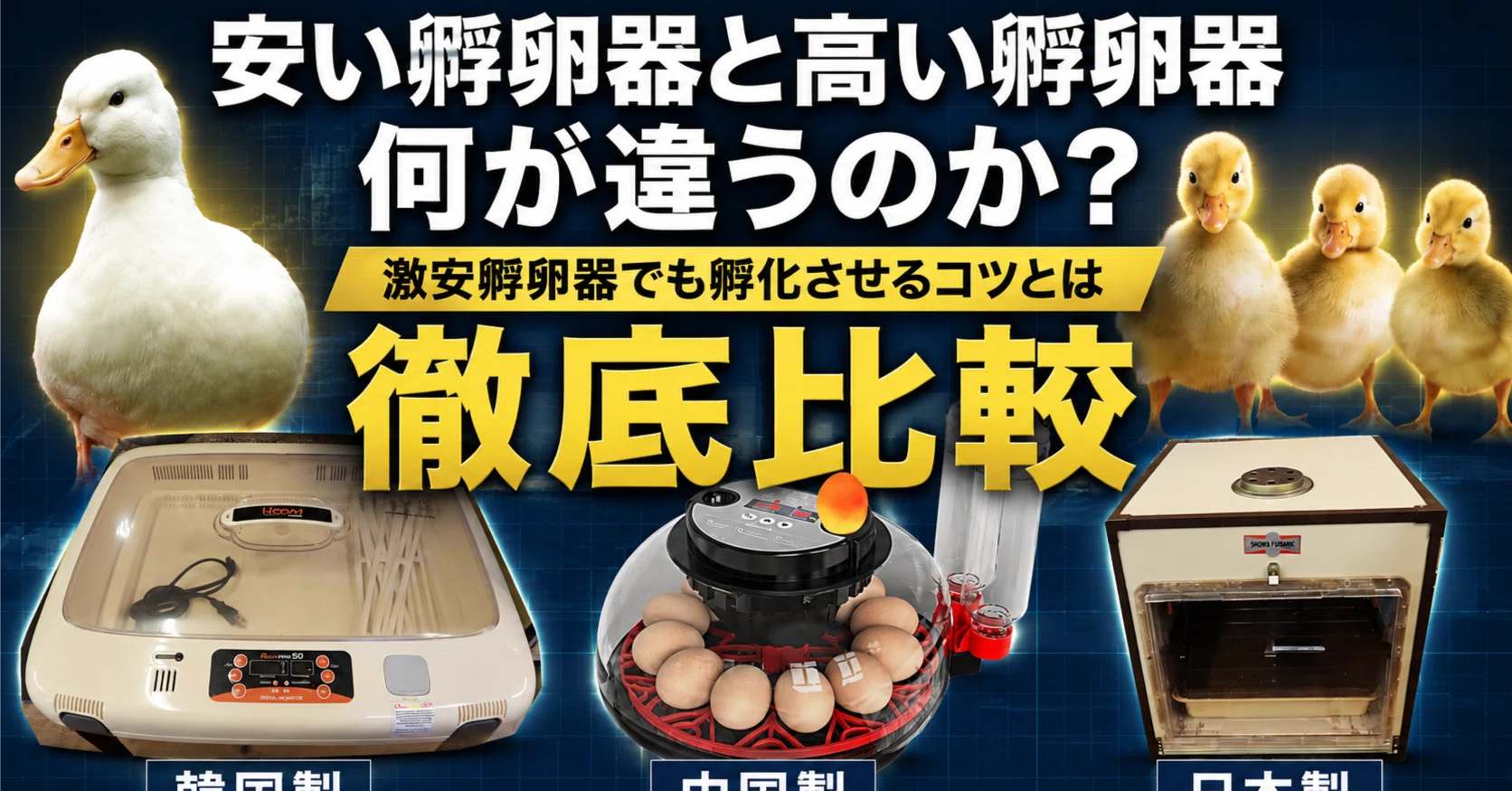 徹底比較】1万円以下vs10万円！プロが教える「孵卵器」の選び方と失敗