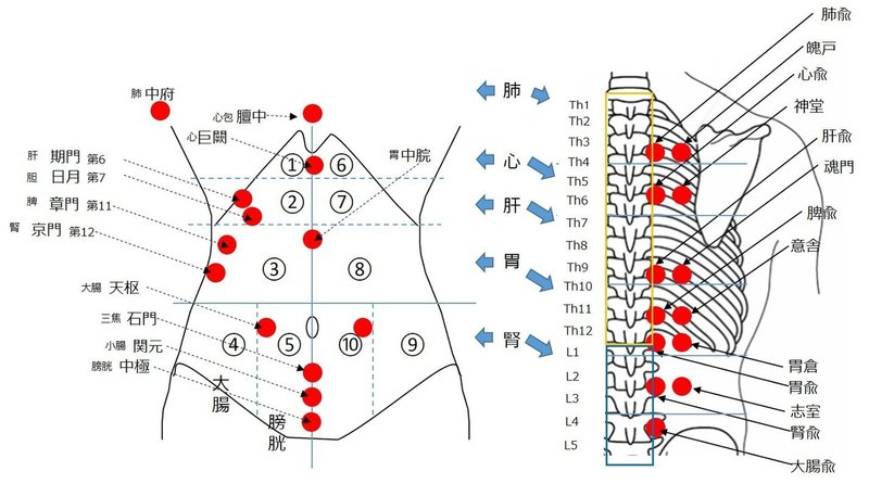 カラダの調子を見る方法 はりのおと Note