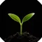 不死身の男