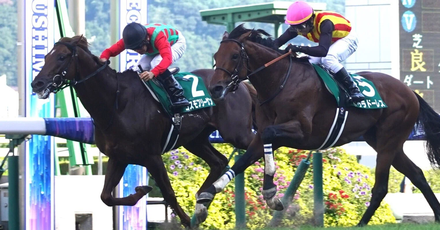 七夕賞の馬券を当てよう!!! note版ひら砲、データでみた七夕賞の傾向