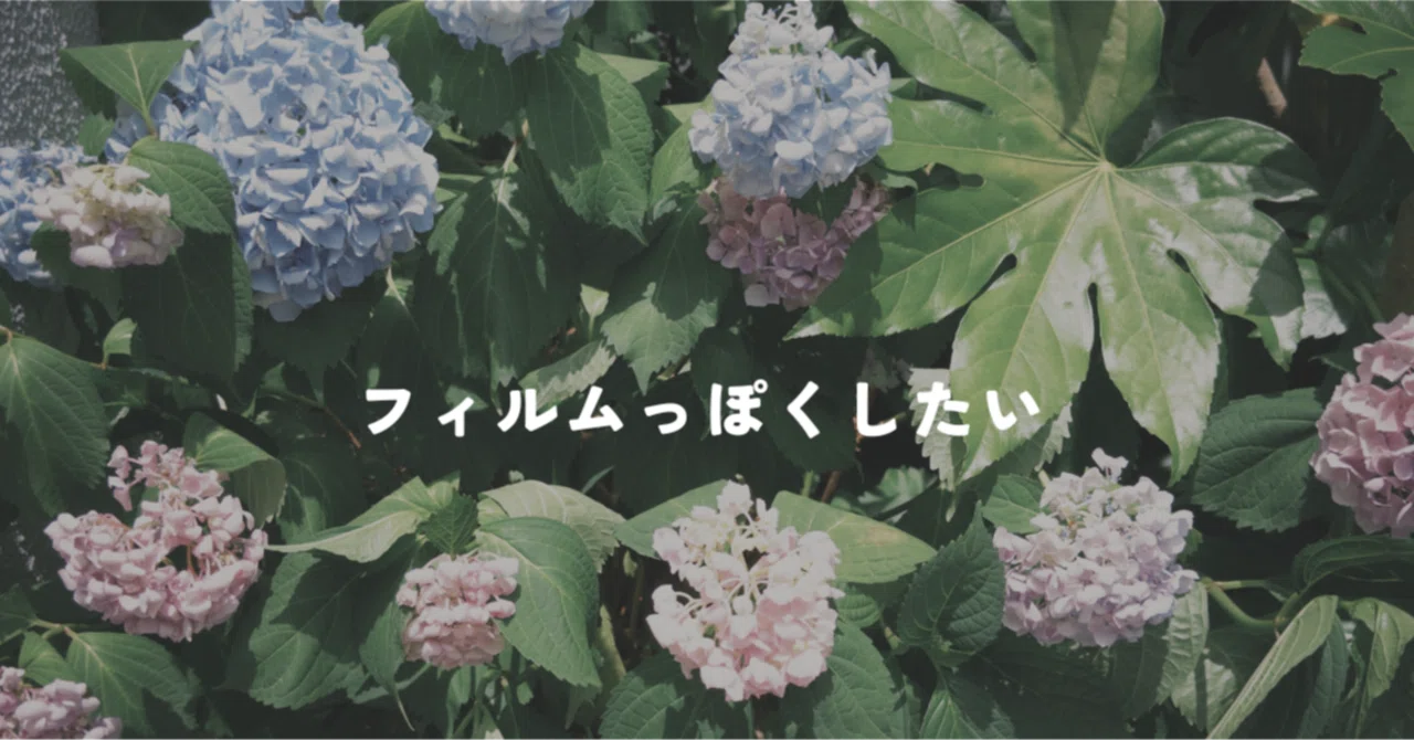 簡単にフィルムカメラっぽく撮るには｜母と子の日常写真#6｜芝先なつこ