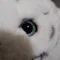 らい