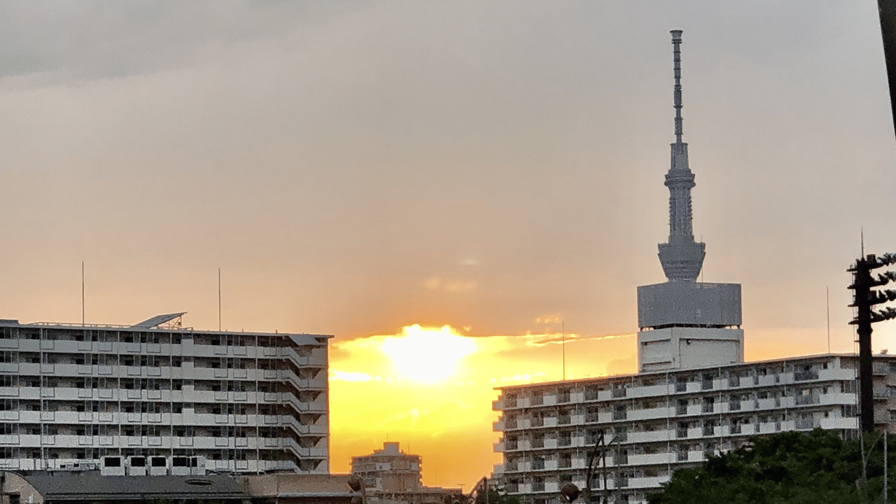 自己教育 という言葉 ありそうでなさそうだと思っていたら あったのですね 自分で自分を教育するという自覚をもって 学問追究 技術獲得 人格向上を行なうこと コトバンクより と 学ぶほどに葛藤 キィ Note