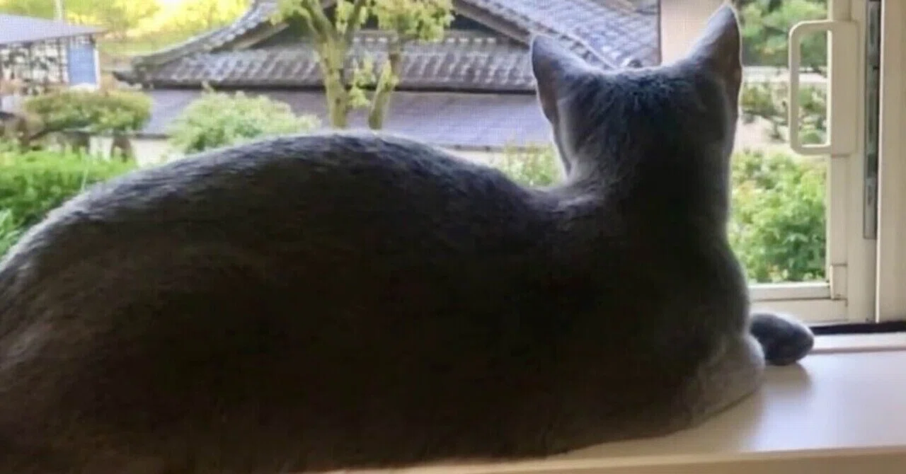 DAY4｜砂糖という名の優しい毒。｜ひなた りょう
