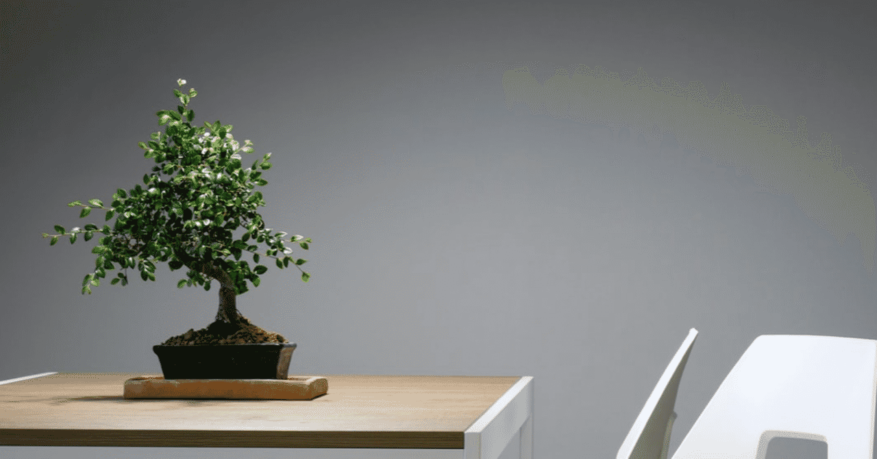 ミニ盆栽 の新着タグ記事一覧 Note つくる つながる とどける