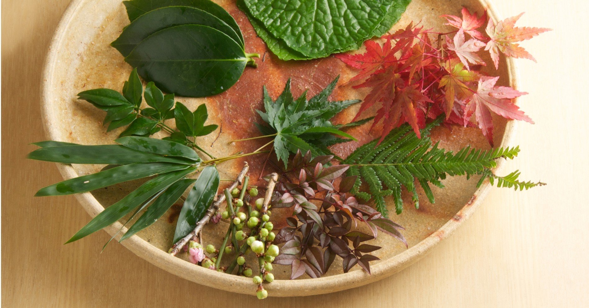 料理 写真を美しく魅せる つまもの 青かいしき いろどり 上勝 Note