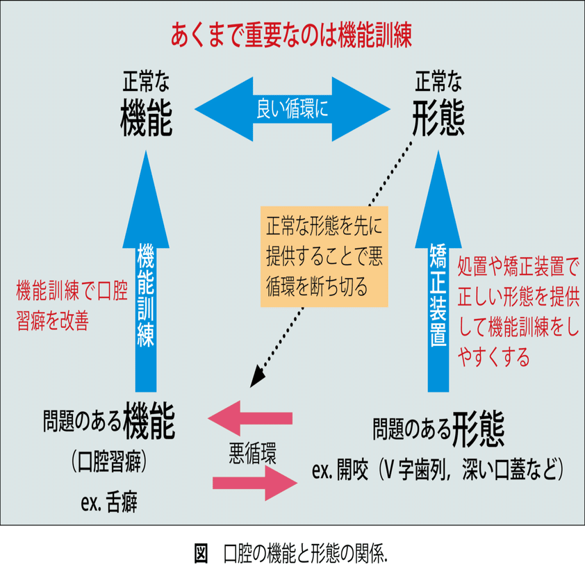 臨床の行方：評価されはじめた小児期の口腔機能の重要性｜月刊『日本