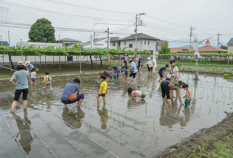 ギャラリーふとまにの里 水無月編7