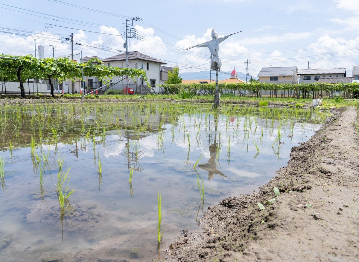 ギャラリーふとまにの里 水無月編11