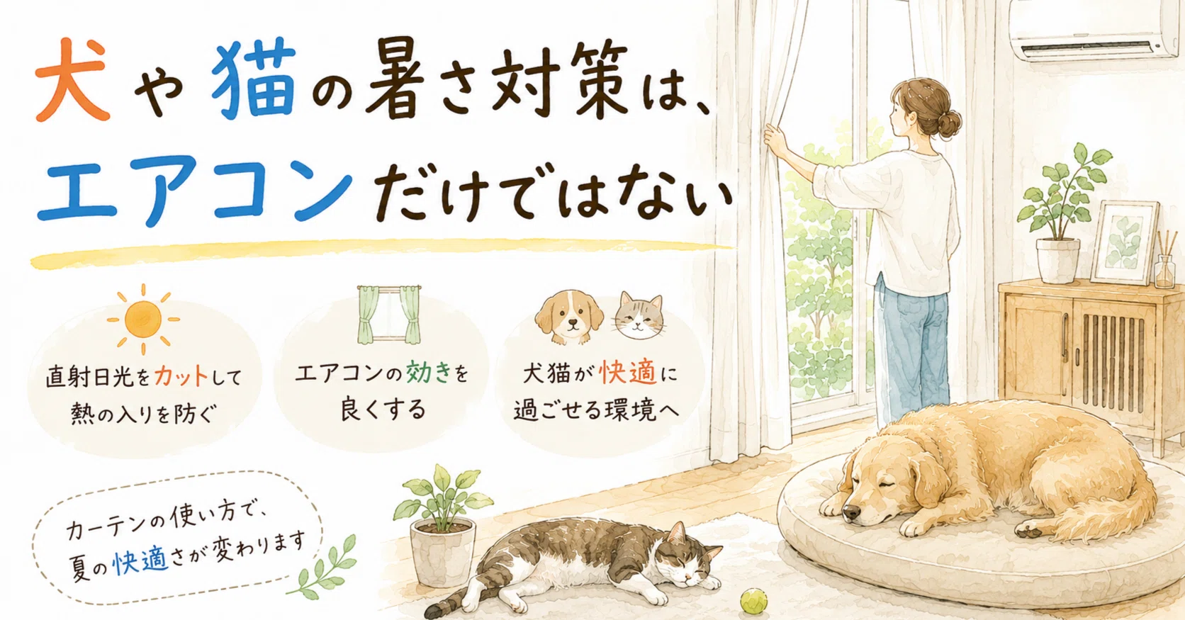 犬や猫の暑さ対策は、エアコンだけではない｜一級建築士 野島比呂司