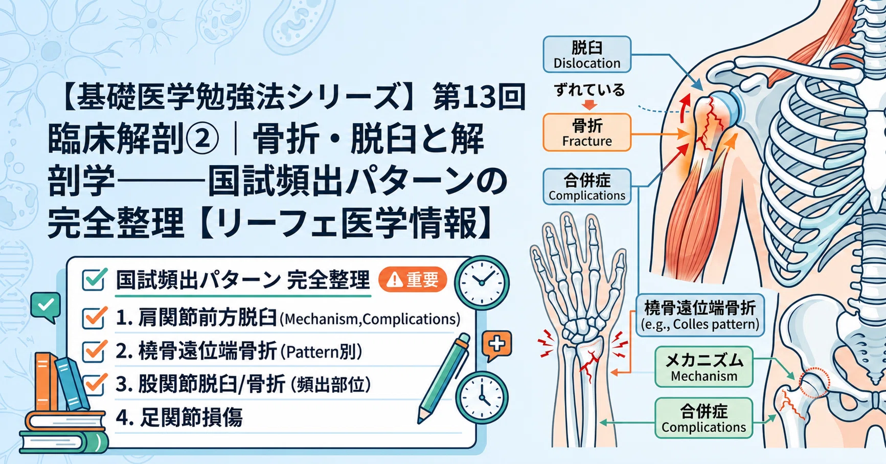 基礎医学勉強法シリーズ】第13回臨床解剖②｜骨折・脱臼と解剖学——国試 