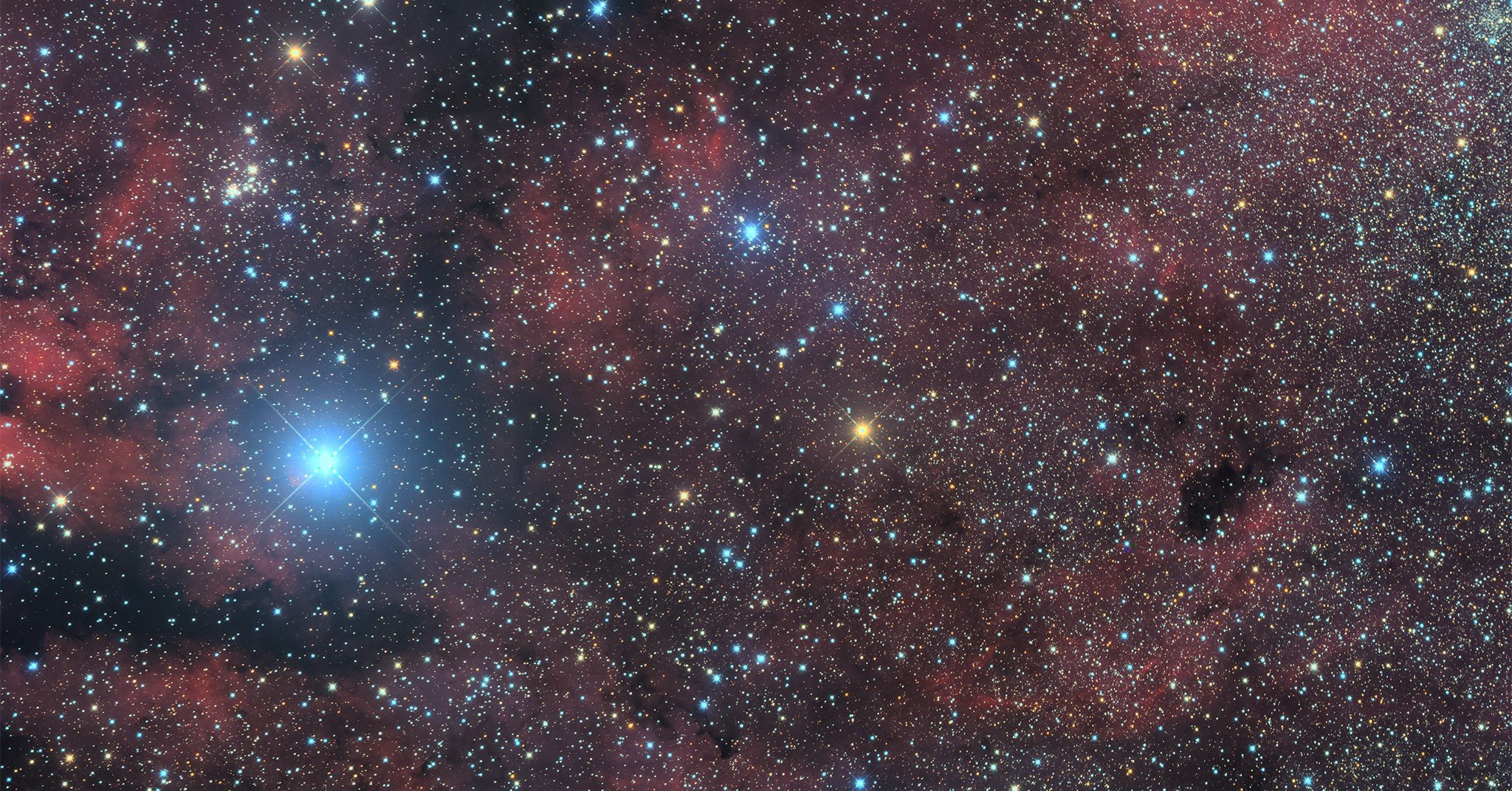 白鳥座のサドルの東部という天体写真｜近江商人