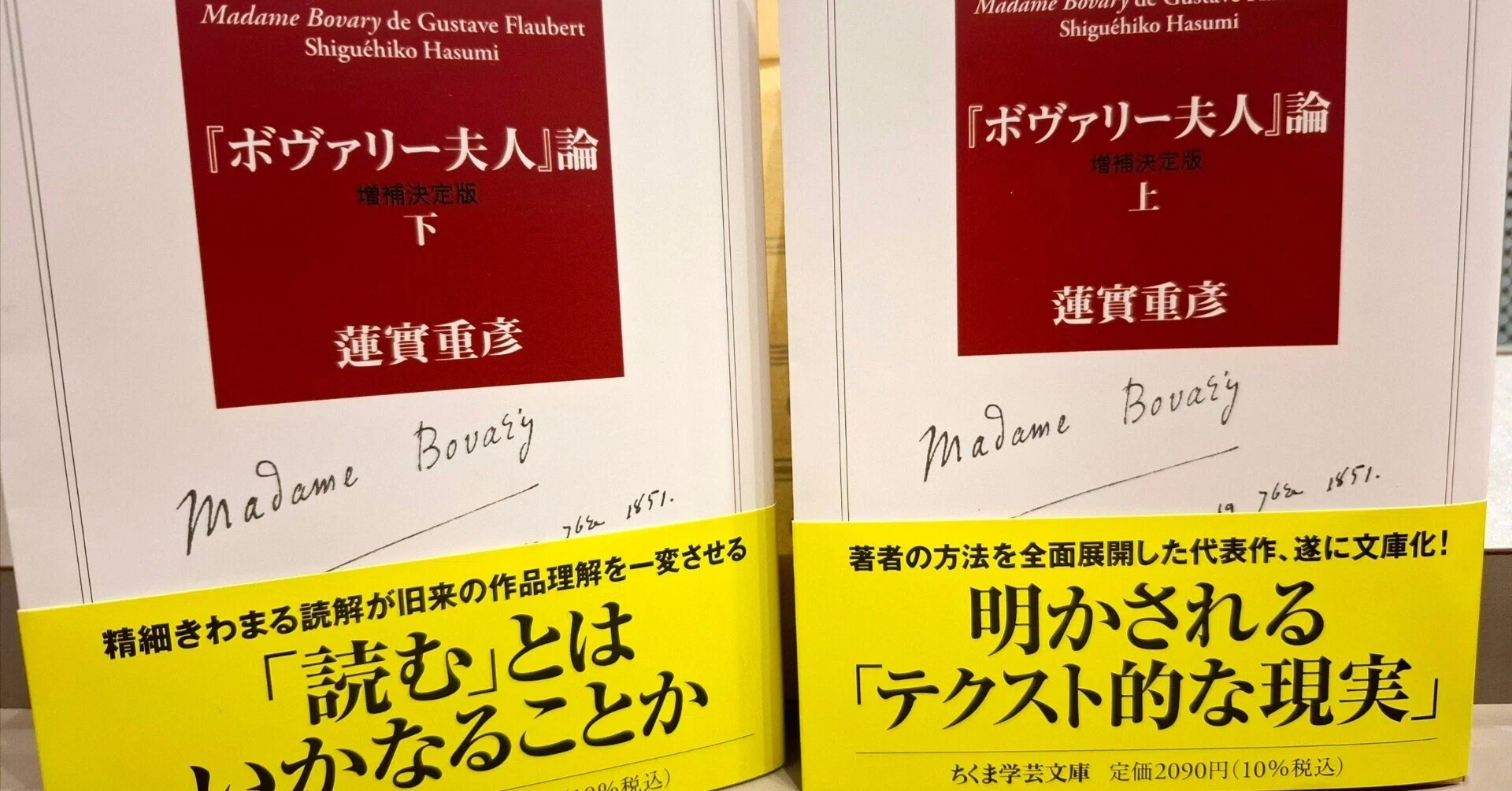 ボヴァリー夫人』論 蓮實重彦□著者署名入 | ⁄ 著 重彦著 ボヴァリ
