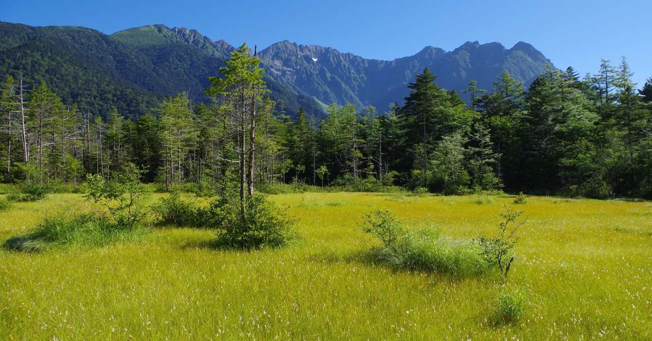 県 割 長野 県民