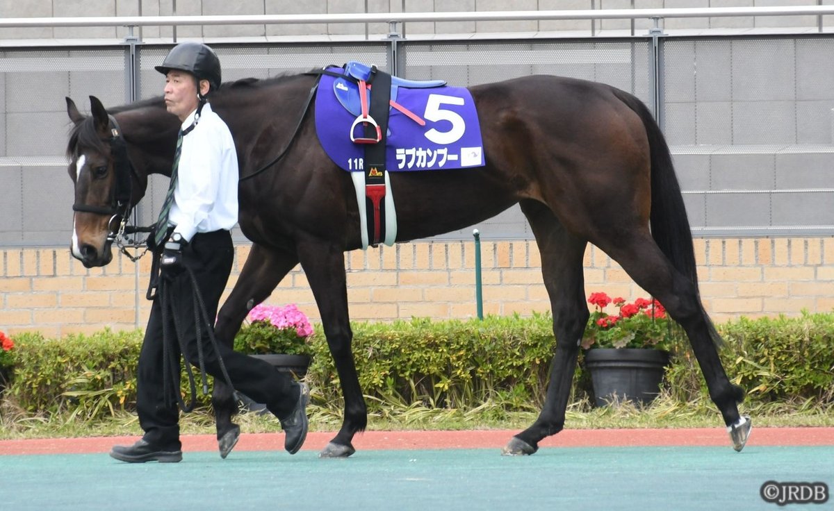 ラブカンプー高松宮記念