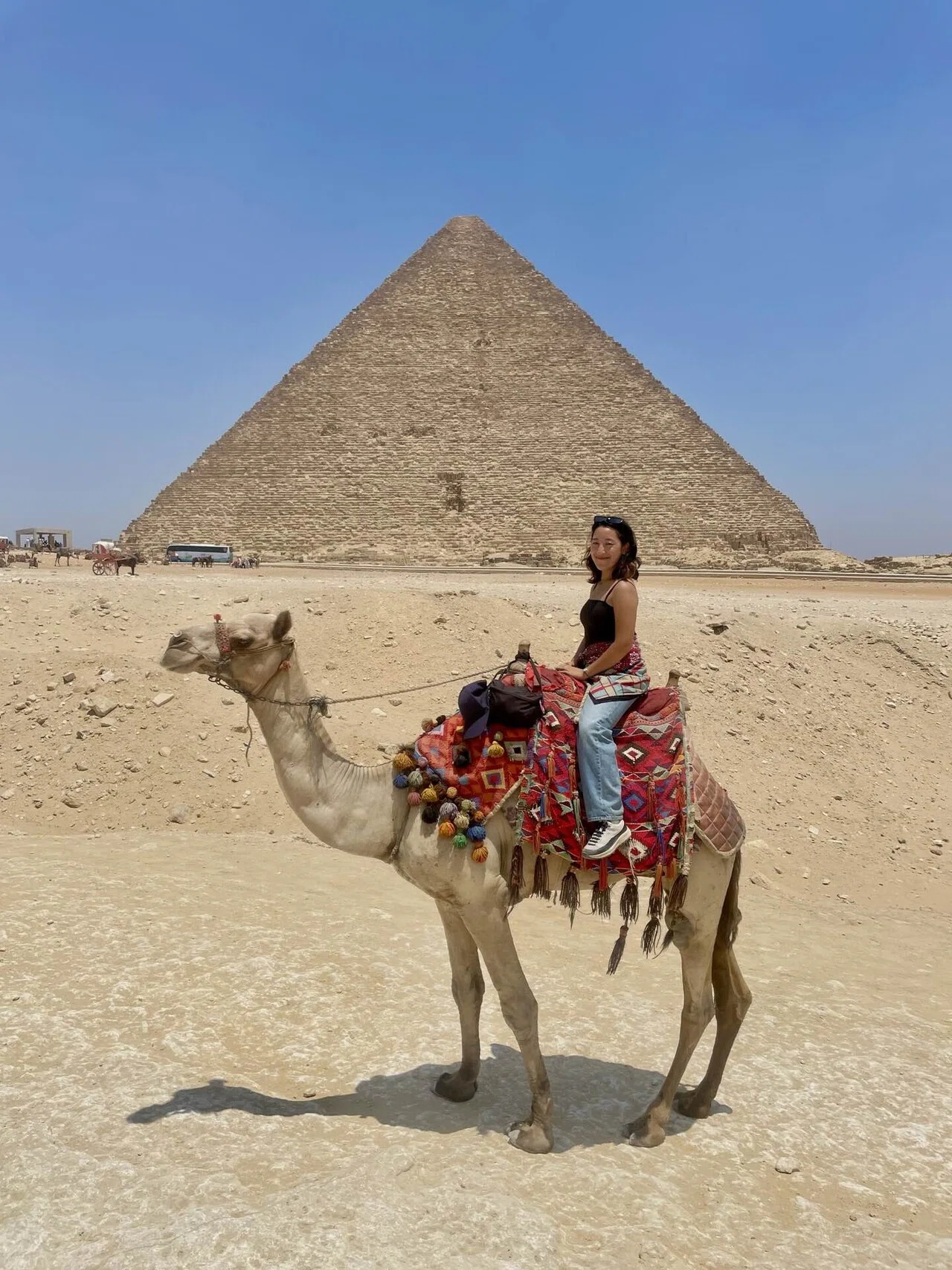 世界一周】DAY73🇪🇬 ギザのピラミッド|大エジプト博物館|夜行バス