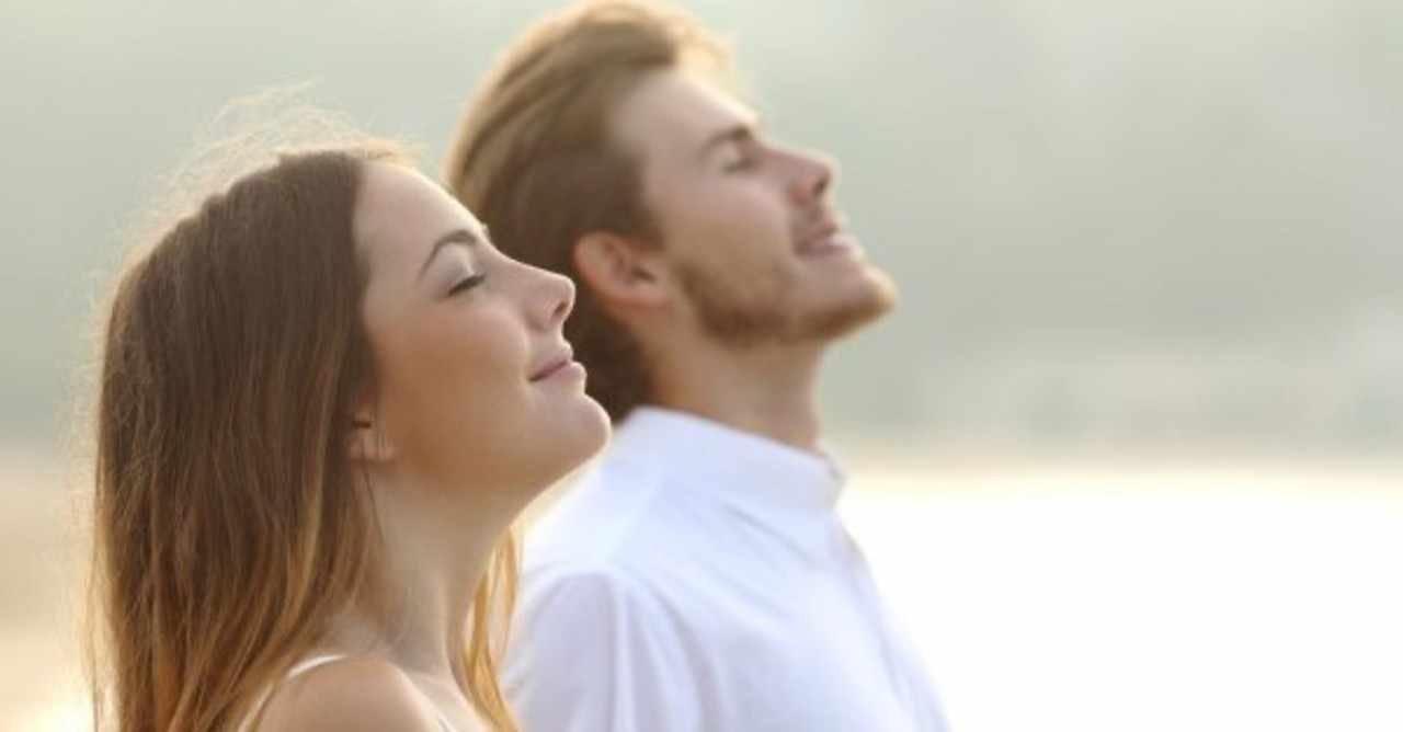 いい写真のフリー素材でした」の新着タグ記事一覧|note ――つくる、つながる、とどける。