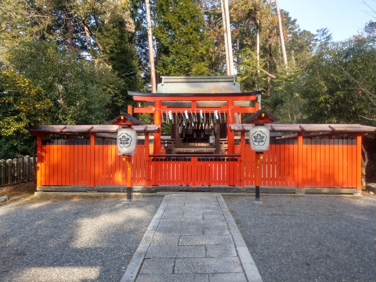 画像9