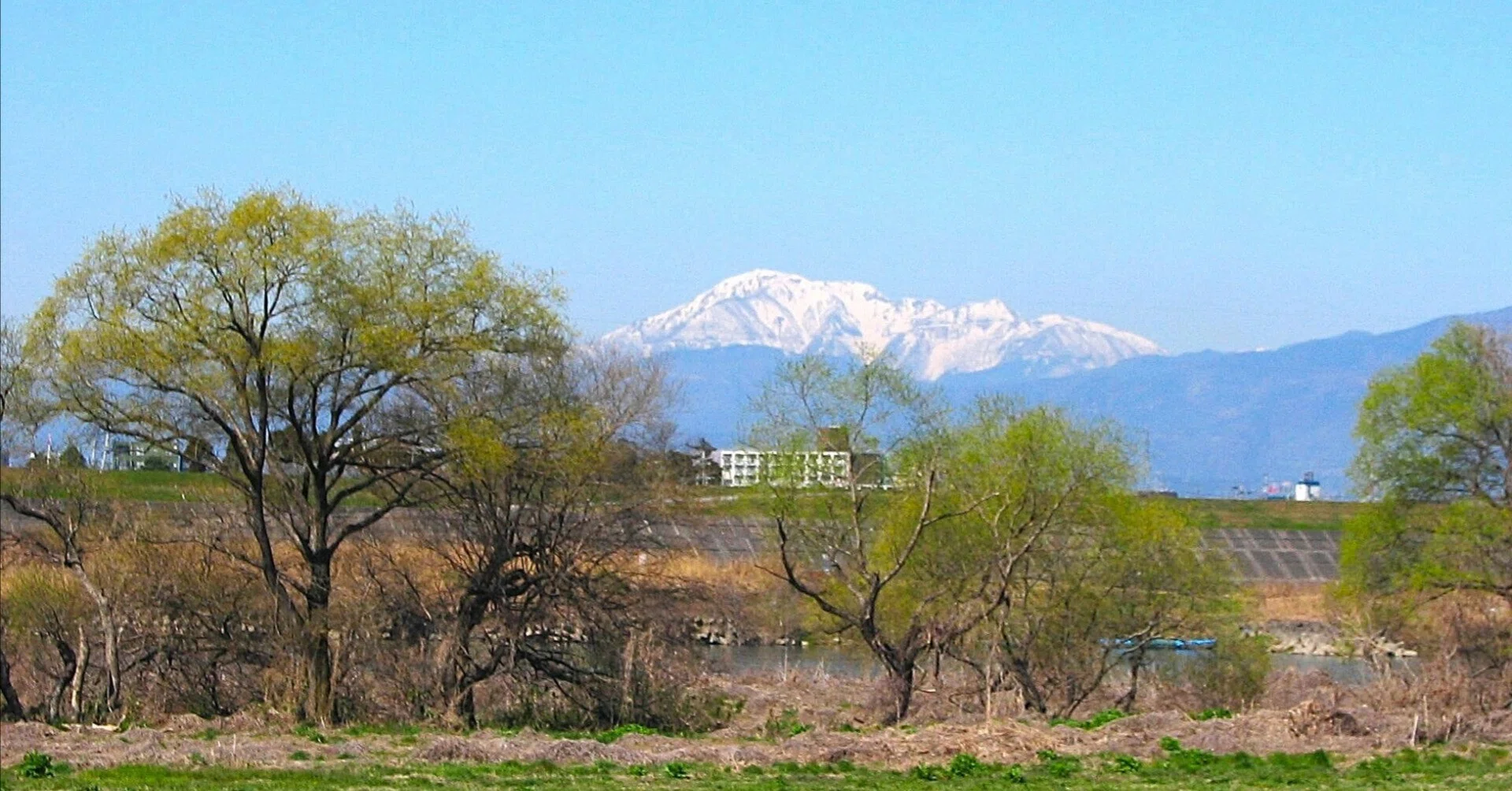 油彩画（長良川畔から見た早春の伊吹山）｜続・画楽舎便り