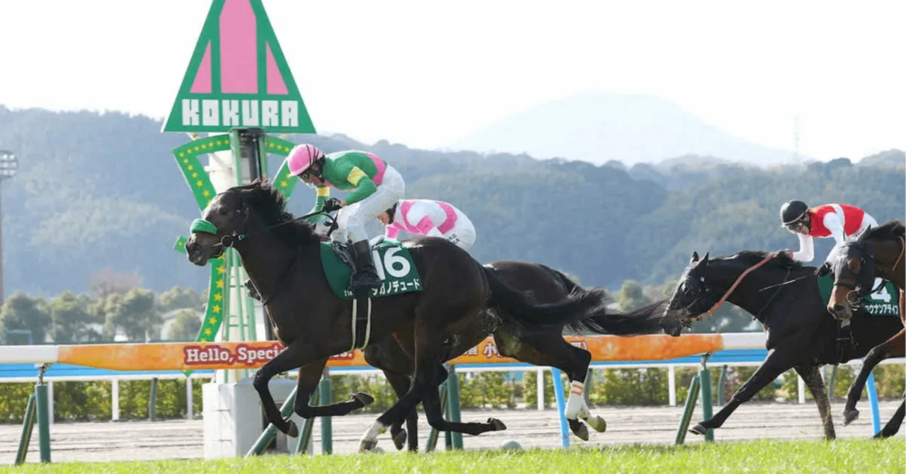 2026👑7👑12《日》💖先週も40万馬券ズバリ的中🎯💖【👑特SSS🐴超激