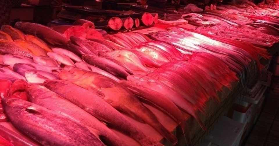 すべての元気が吸い取られる腸チフス 予防接種情報 ひでボン 中国 ミャンマー Note