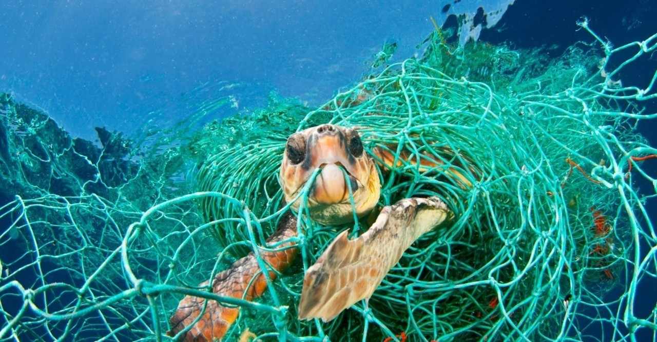Why脱プラ 海洋プラスチックゴミの現状と問題点 舛田陽介 Yosuke Masuda Note