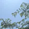 アーティストになりたい19歳