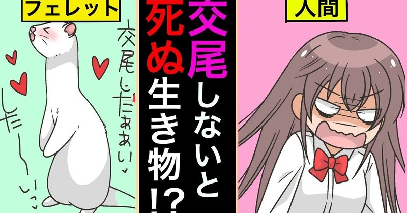 交尾をしないと死ぬ生き物 動物の交尾の特殊な生態 雑学漫画 雑学王子トリビアーン Note