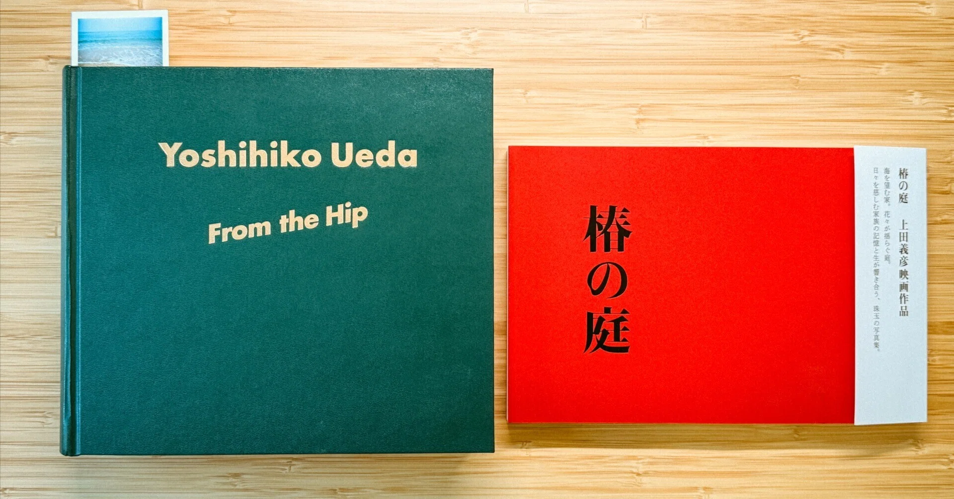上田義彦 写真集 - 『椿の庭』、『From the Hip』｜helloryuji
