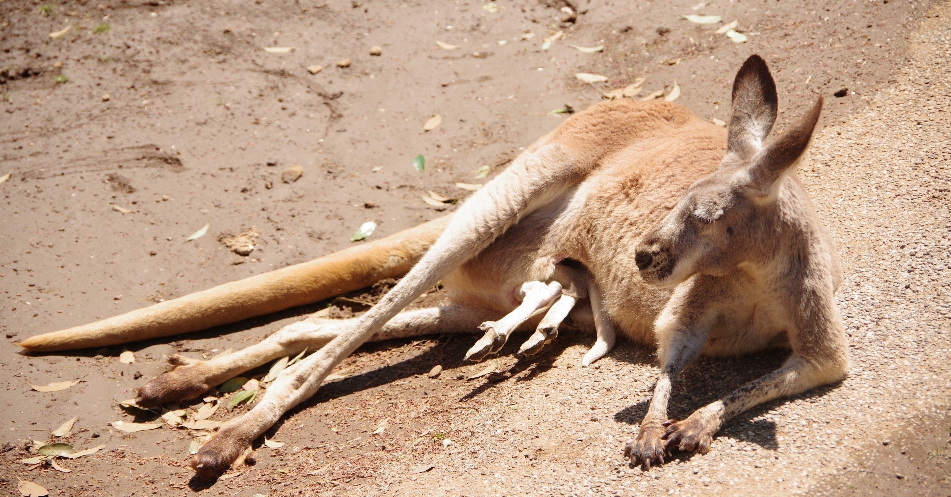 意識のエアポケットと戦う 冬木糸一 Note