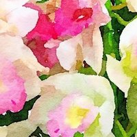 失恋後初めて男の子と2人で出かけて虚無感に襲われた話 ぼぶ Note 失恋後初めて男の子と2人で出かけて虚無感に襲われた話 ぼぶ Note