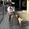 犬と人を繋ぐドッグトレーナー