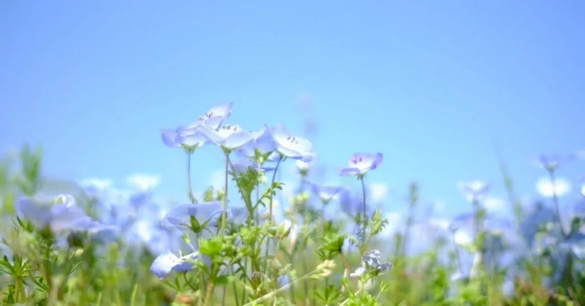 The essence of life is not 'length' but 'density'. I want to keep ...
