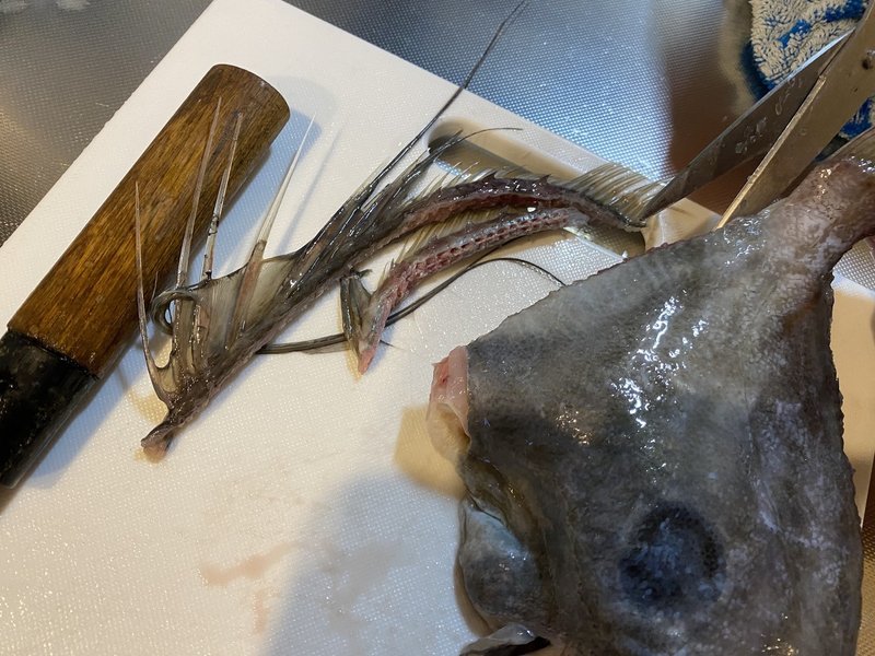 ブサイク代表魚のマトウダイを捌いたら中身はイケメンだった Noriaki Kawanishi 黒崎base半農style Note