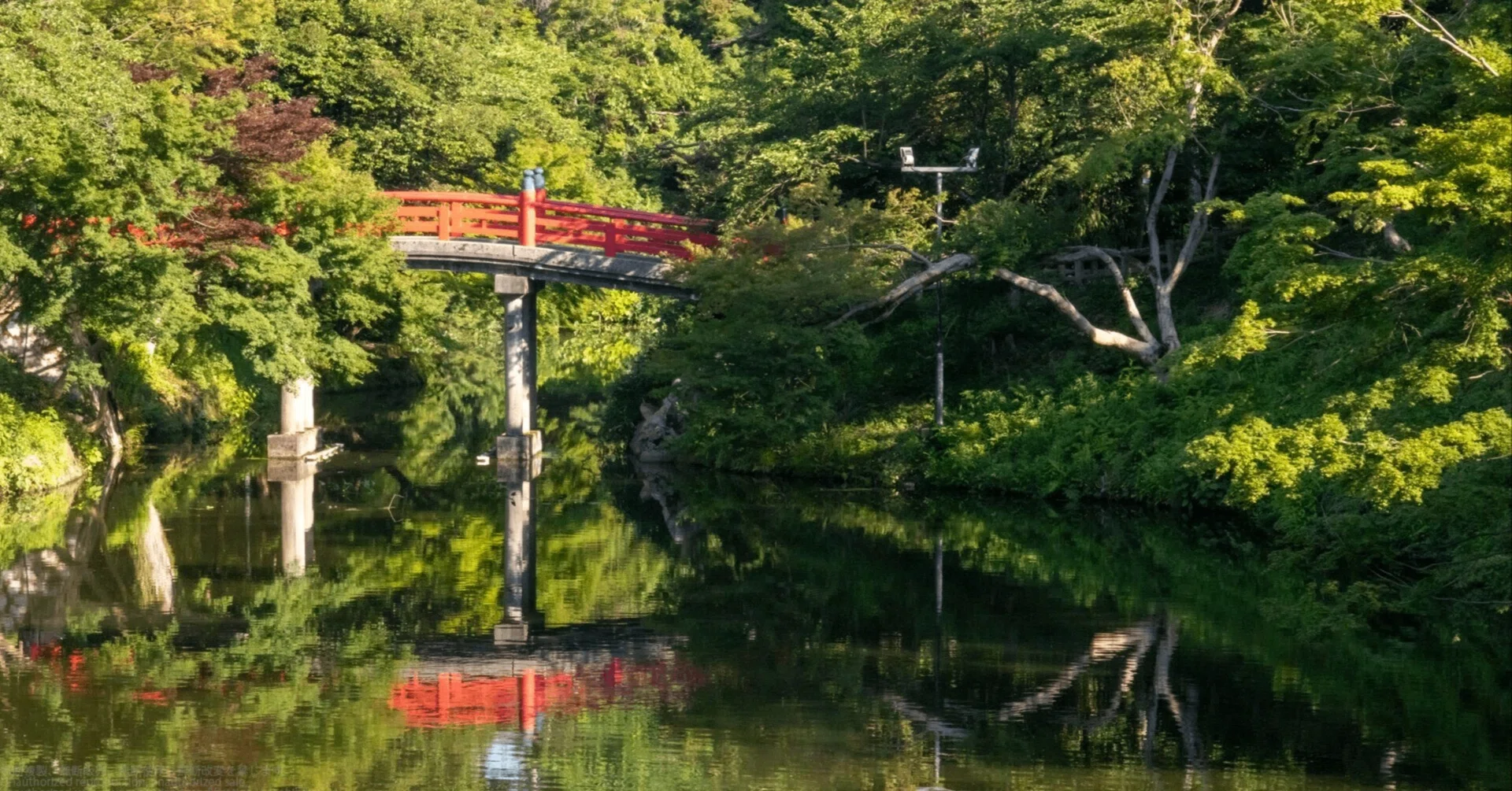 inoue1024 79 PhotoNote -高岡市／夏の高岡古城公園｜parubooks《パル