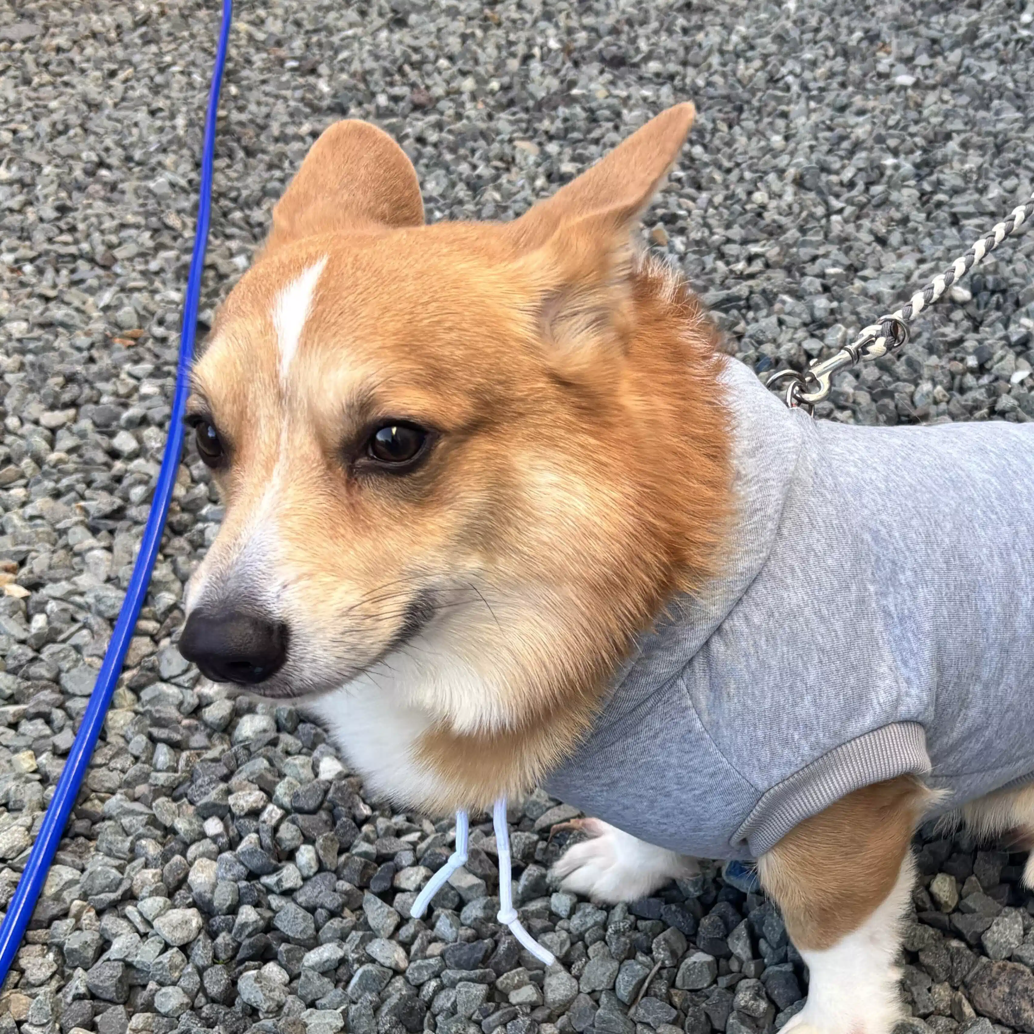 ゆぃくんパパ