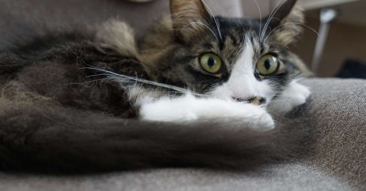 エモいアニメ の新着タグ記事一覧 Note つくる つながる とどける