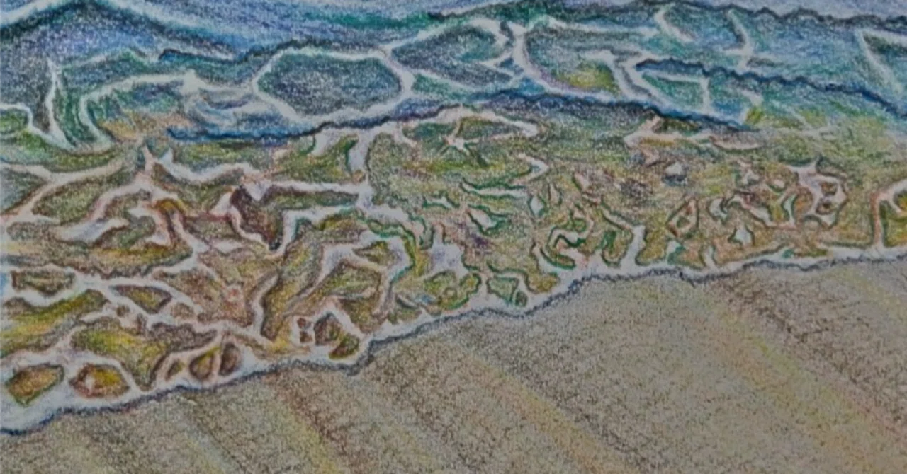色鉛筆で池と海を描いてみた！観察から生まれる小さな大発見｜パぺピプ