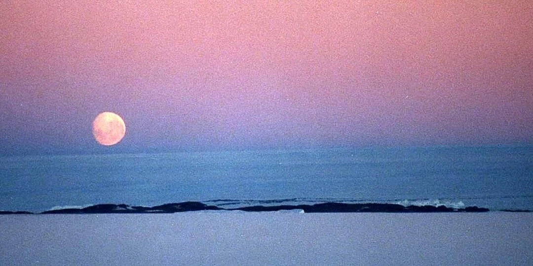 画像17