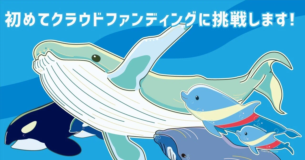 海の生き物を描き続けて、、、初めてのクラウドファンディングに挑戦し