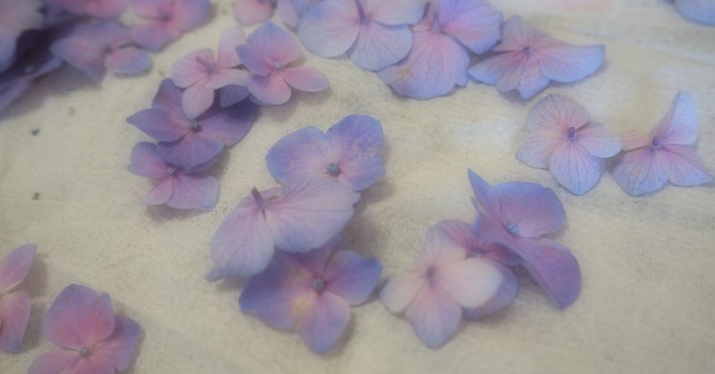 考えてわからない時はアンチノミーに陥ったといい 真逆だと思ったらコペルニクス的転回だといえたらかっこいい そう思っただけのカントだけど 今こそ道徳を改めて考える Moi Note