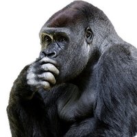 三文字の名字のおうちって なんだかお金持ちの人多いイメージをずっと持っています 大きいおうちの表札を次から見てみてくださいよ もしくは三文字の名字 の人のおうち見せてもらってよ 大きなおうちだよきっと なきごりら Note
