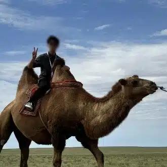 しまたいやき