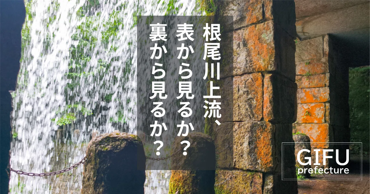 岐阜ドライブ｜根尾川上流、表から見るか？裏から見るか？｜4season