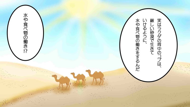 ラクダのコブを開けてみると 雑学漫画 雑学王子トリビアーン Note
