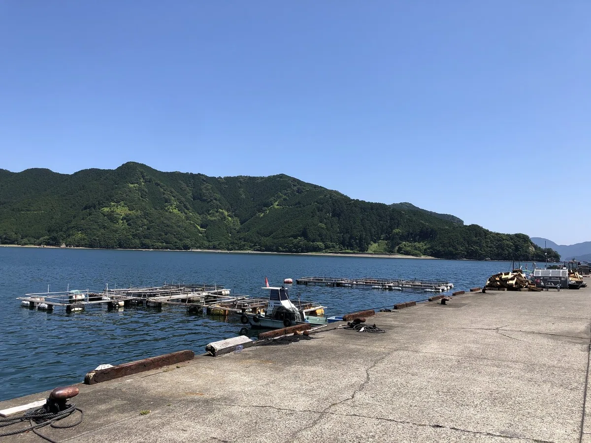 画像6