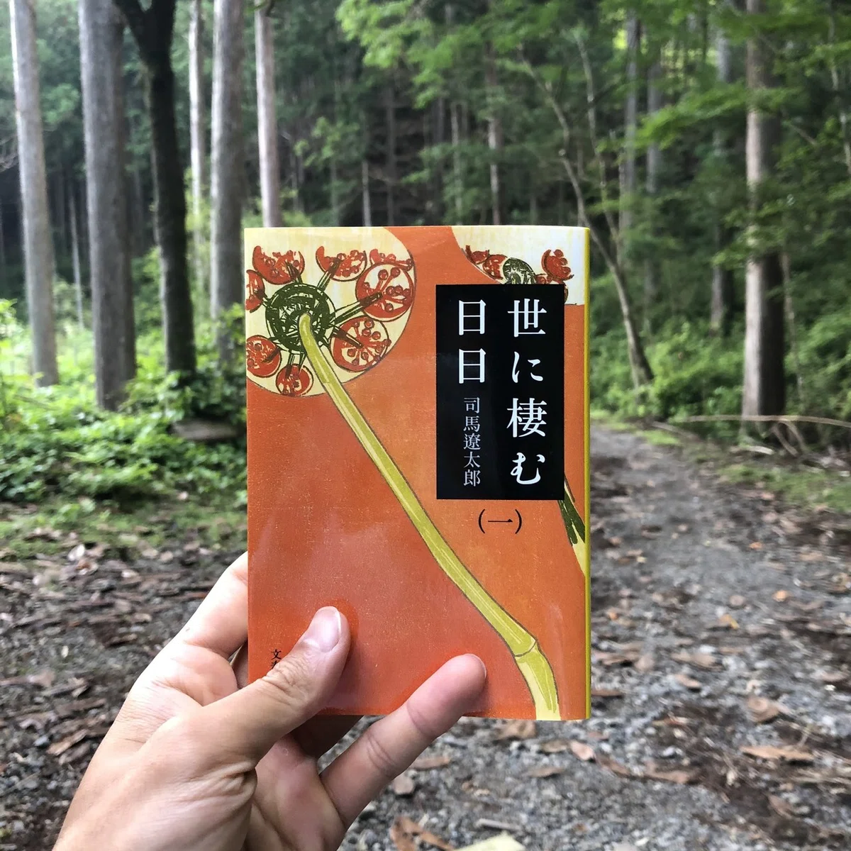 画像7