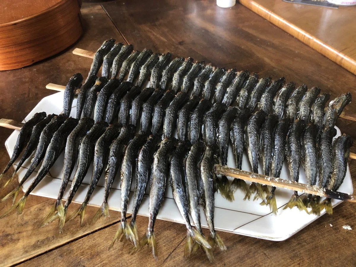 画像11
