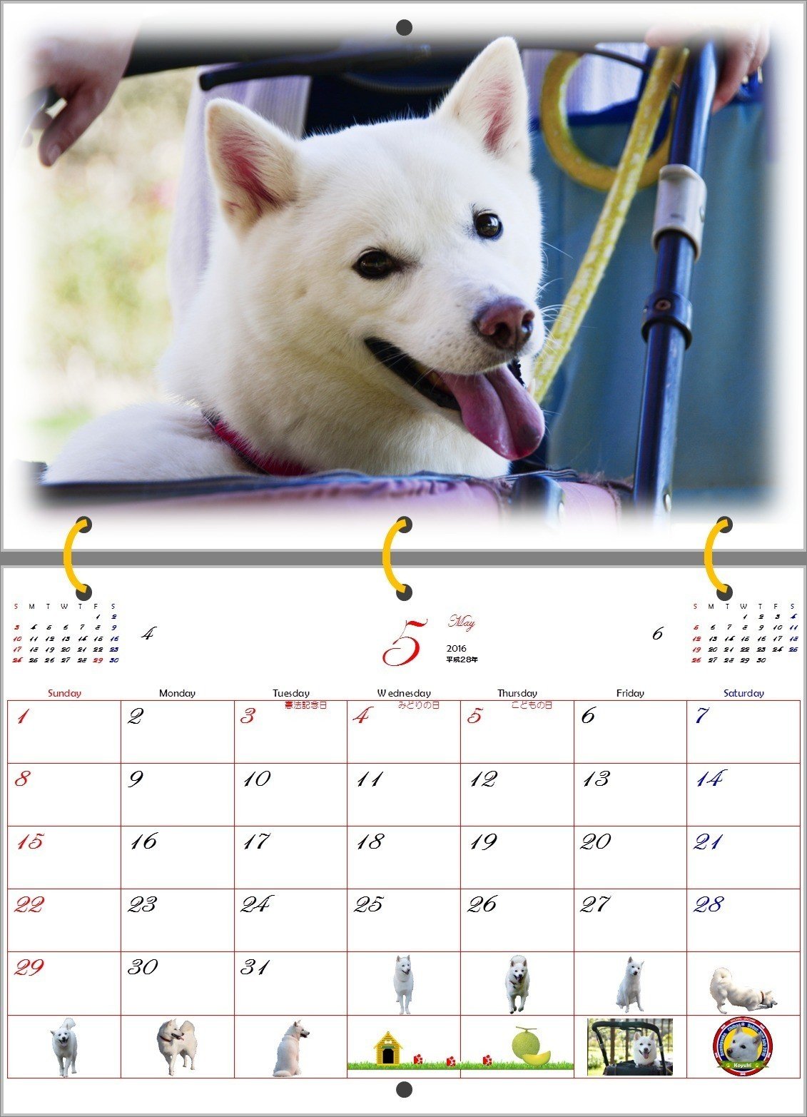 16年白い犬のカレンダー 5月 T Sbar57 Note